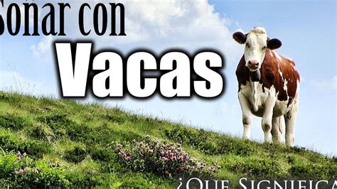 Interpretaci N B Blica Sobre El Significado De So Ar Con Vacas