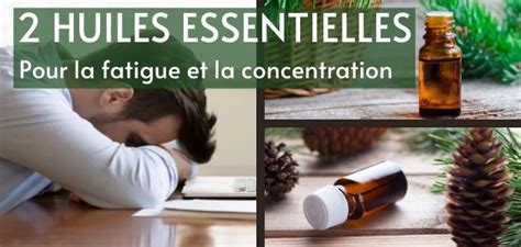 Huiles Essentielles Pour La Fatigue Et La Concentration Huiles