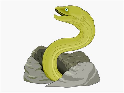 Eel Clip Art Green Moray Eel Drawing Free Transparent Clipart