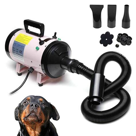 Buy Professional Pet Dog Cat Hairdryer Powerful 2800W Dog Pet Grooming