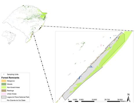 Study Area At Lagoa Do Peixe National Park Southern Brazil Sampled