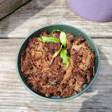 Tiny brown snake found in basement has a worm (will release snake when