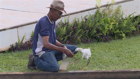 SineBahia Tem Vagas De Emprego Para Salvador E Lauro De Freitas Nesta