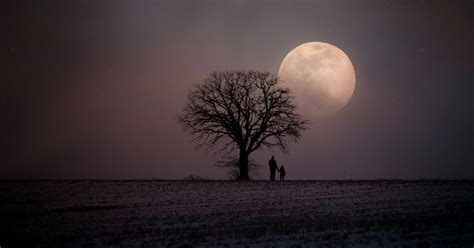 De Volle Maan Van Januari De Ijsmaan Ruben Robijn