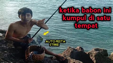 Gak Nyangka Mancing Di Spot Ini Tidak Pernah Mengecewakan Youtube