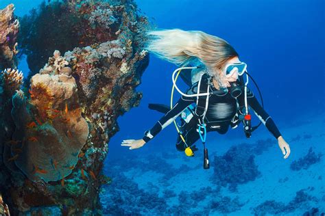 Snorkeling in Egypt - Egypt Tour Makers