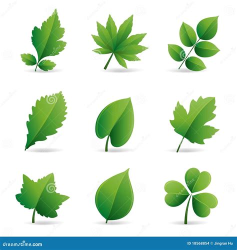 Green Leaves Element Stock Vector Illustration Of Plant