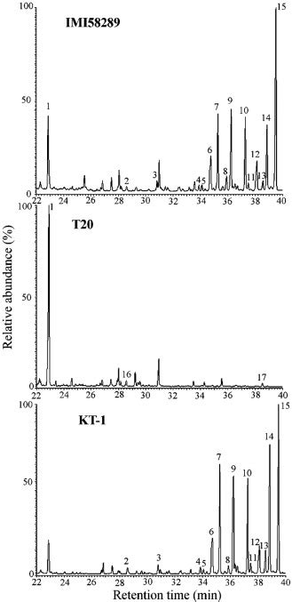 The NADPH Cytochrome P450 Reductase Gene From Gibberella Fujikuroi Is