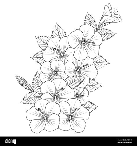 Rose Of Sharon Flower Coloring Page Illustration With Line Art Stroke