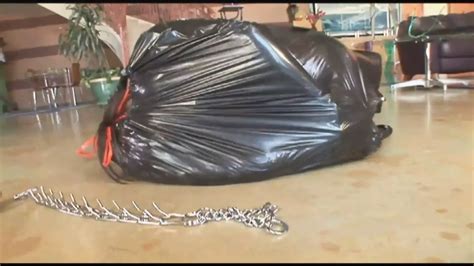 Roxy Reynolds Porn Videos 2025 Porn Star Sex Scenes XHamster