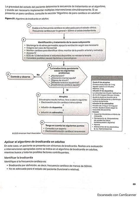 Solution Algoritmos Rcp Studypool