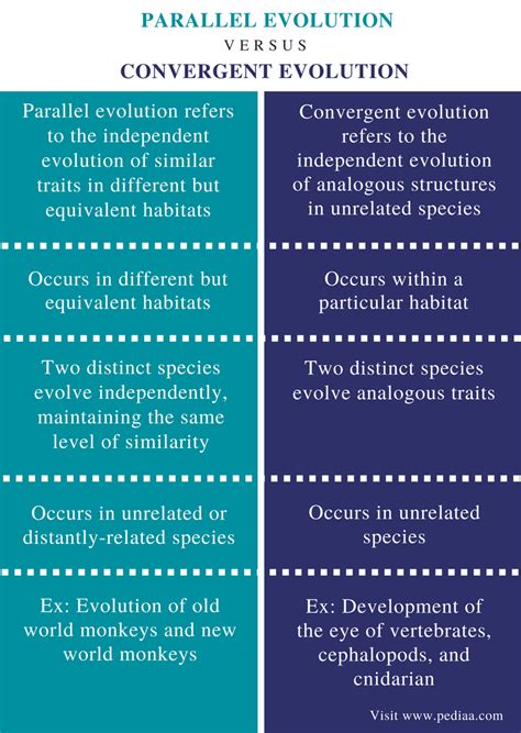 Difference Between Parallel and Convergent Evolution | Definition, Facts, Examples, Similarities ...