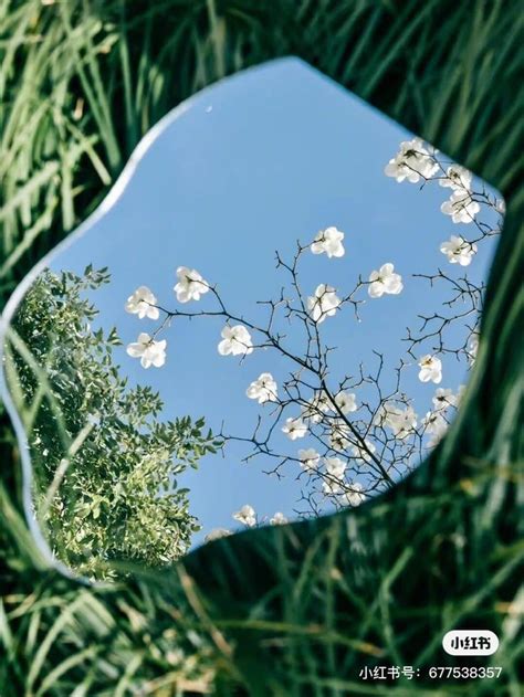 A Mirror Reflecting The Sky And Flowers In It S Reflection With Green