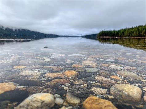 [OC] Lake Wenatchee, North Loop Trail, Lake Wenatchee State Park, Washington, USA. : hiking