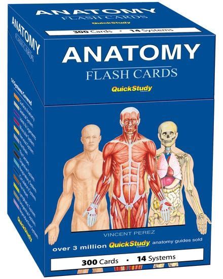 Anatomy Flash Cards 9781423204237