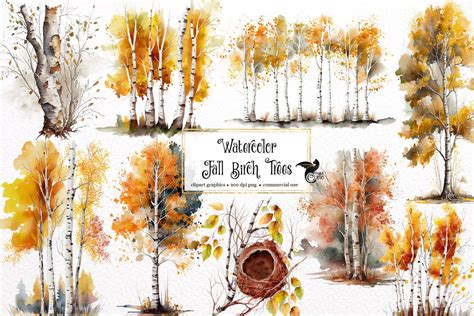 Watercolor Fall Birch Trees Clipart Autumn Birch Forest Png Format