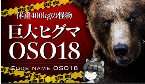 へんないきものチャンネル】牛を襲う400kgの巨大ヒグマ「oso18」｜北海道に出没し専門家も絶 『黒兎のスー』のライターきどり