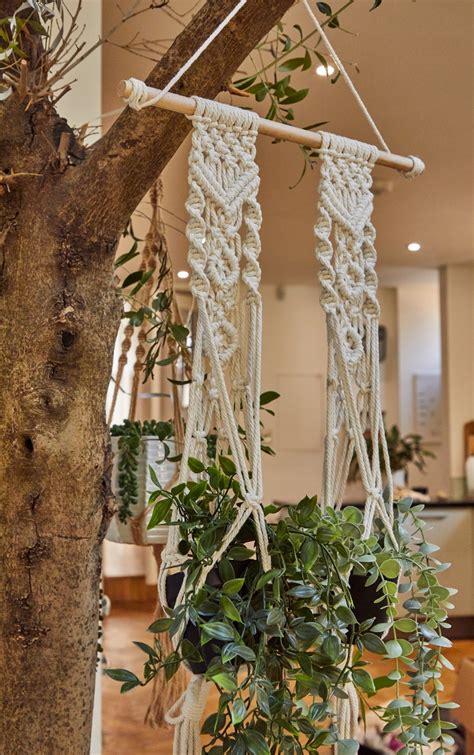 Macrame Hanging Planter | Home | PrettyLittleThing CA