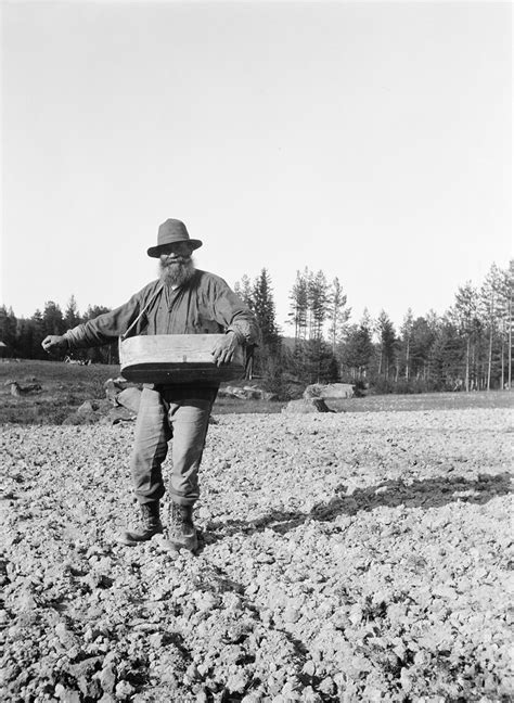 Ollas Per Persson Almo Dalarna Sweden The Yeoman Farmer Flickr