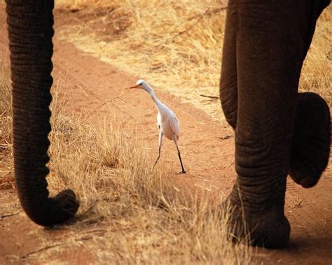 Links 6 9 2021 Naked Capitalism