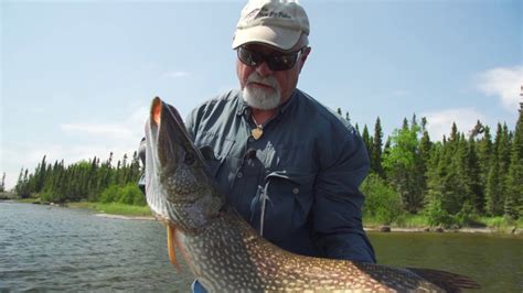 Giant Pike Onaman Resort Lake Nipigon The New Fly Fisher