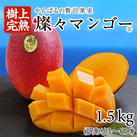 今帰仁 マンゴー 準a級 1kg 国産 沖縄 完熟 アップルマンゴー フルーツ デザート 果物 おすすめ 生産者直送 お土産 甘い 人気