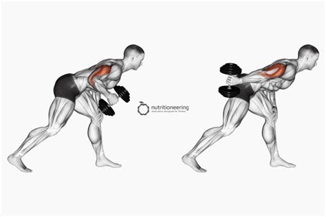 Best Skull Crusher Alternative Exercises For Huge Triceps