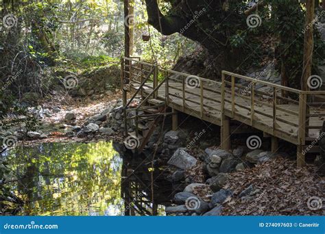 Escaleras De Madera En El Paisaje Forestal Como Fondo Escaleras De