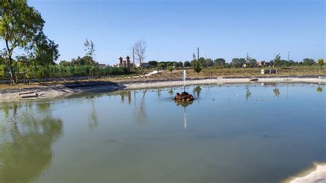 Fiumicino Risolto Il Guasto Al Laghetto Di Villa Guglielmi L Acqua