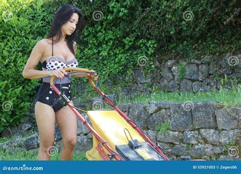 Gardener Stock Image Image Of Garden Gardener Female 53921003