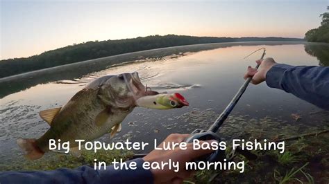 Big Topwater Lure Bass Fishing In The Early Morning Bass Manager