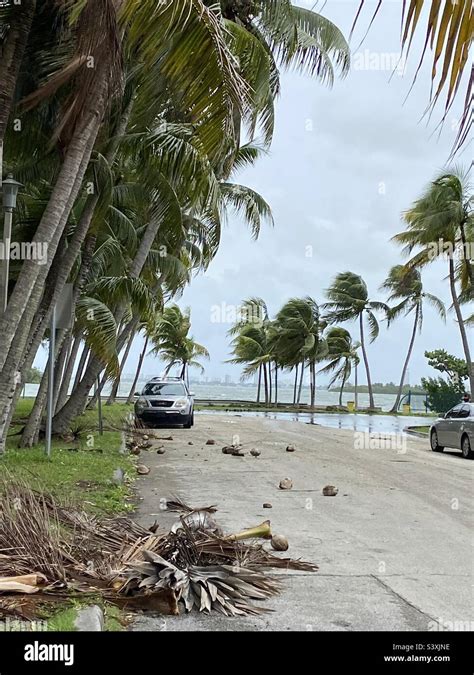 Parc latéral le matin dans le comté de Miami Dade heures après le