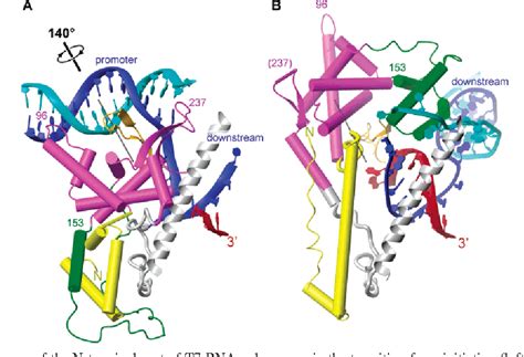 Figure 1 From New Concepts Topological And Conformational Analysis Of The Initiation And