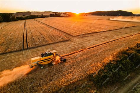 Premium Photo | Combine harvester agriculture machine harvesting golden ...