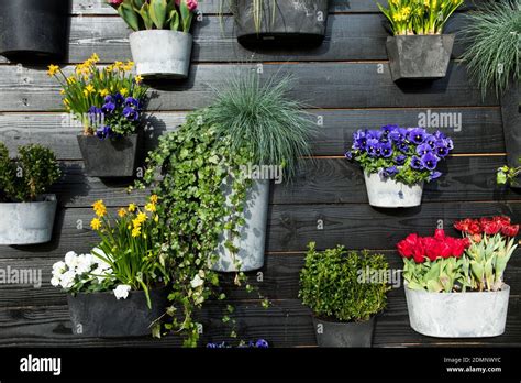 Pots Planters Hi Res Stock Photography And Images Alamy