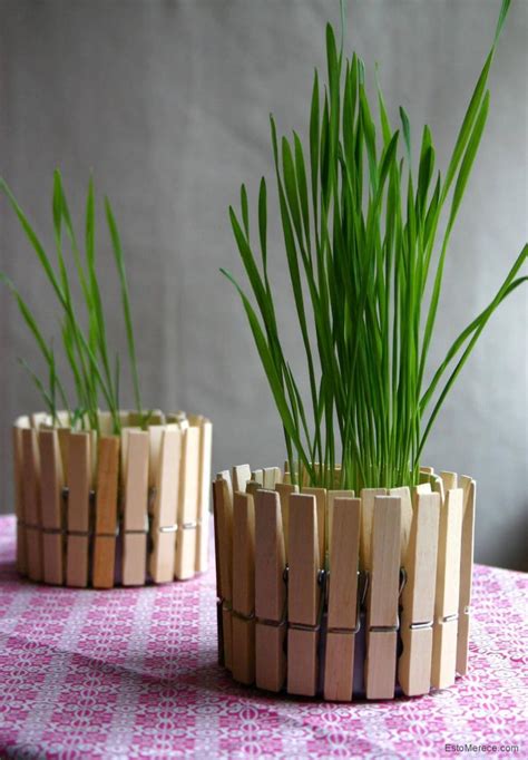 30 Best DIY Flower Pot Ideas and Designs for 2024