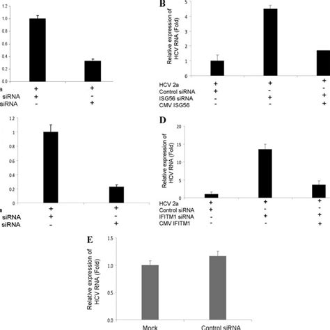 Transient expression of ISG56 or IFITM1 suppresses subgenomic HCV RNA ...