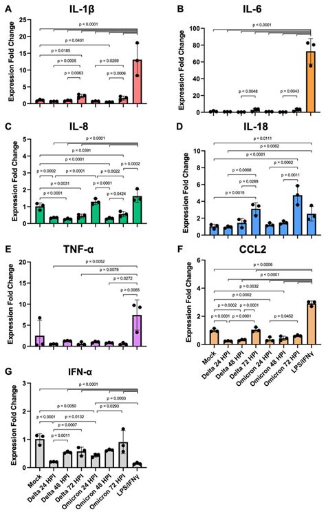 SARS CoV 2 Delta B 1 617 2 Variant Replicates And Induces Syncytia