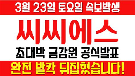 씨씨에스 주가전망 긴급 속보 여의도슈퍼개미 전략 토요일 초대박 금감원 공식발표 완전 발칵 튀집혔습니다