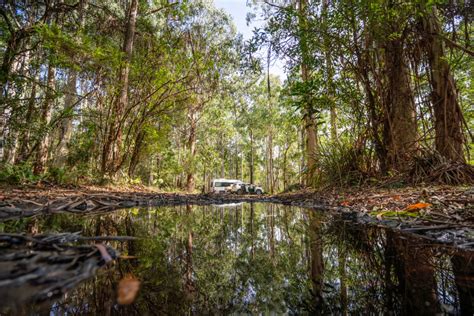 Car camping: everything you need to know | Blog - NSW National Parks