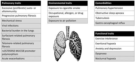 Jpm Free Full Text Towards Treatable Traits For Pulmonary Fibrosis