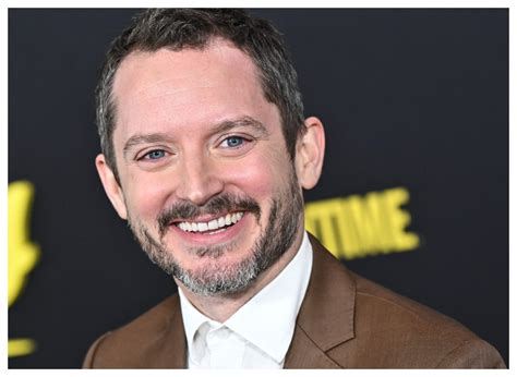 What Celebrity Looks Like Elijah Wood Who Gets Confused With Elijah