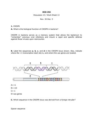 MCB 250 Exam 2 Study Guide VCasts 19 19 DNA Supercoiling 10 Bp