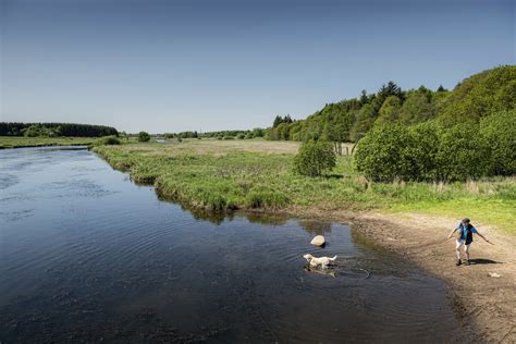 Politik Og Planer I Favrskov Kommune Trap Danmark Lex