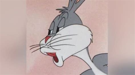 47 New No Meme Bugs Bunny  For Desktop Background Wallpaper Epic 2022