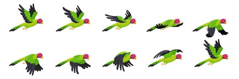 Premium Vector | Parrot animation Animated parrots flight flying bird ...