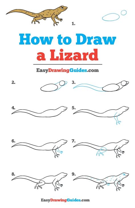 How to Draw a Lizard - Really Easy Drawing Tutorial