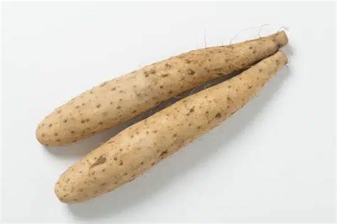 Wild Yam Benefits Uses Supplements Dosage And Side