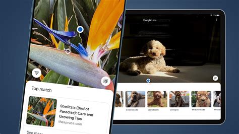 google lens   iphone  ipad techradar