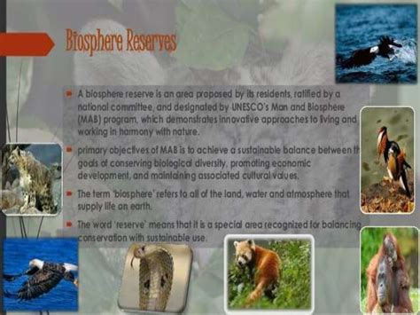 Wildlife conservation and its benefits